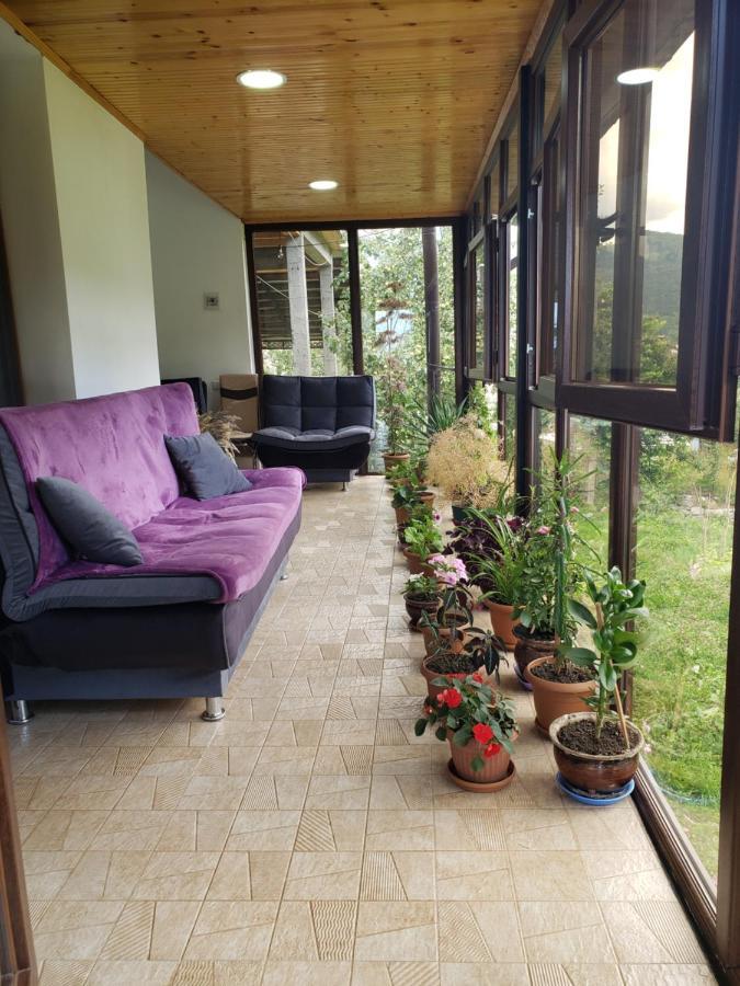 Guest House Nanu Mestia Dış mekan fotoğraf