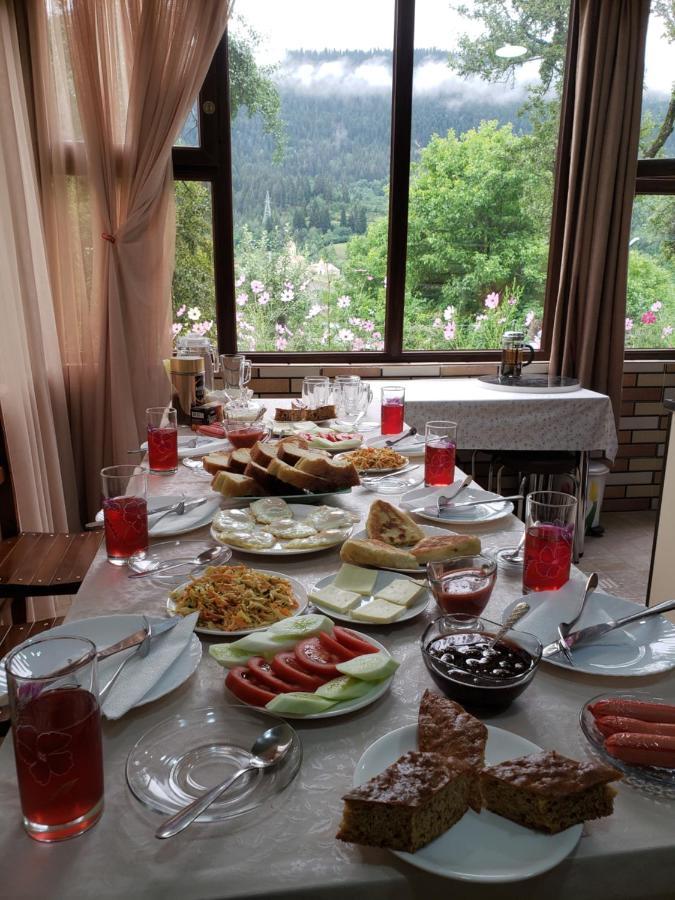 Guest House Nanu Mestia Dış mekan fotoğraf
